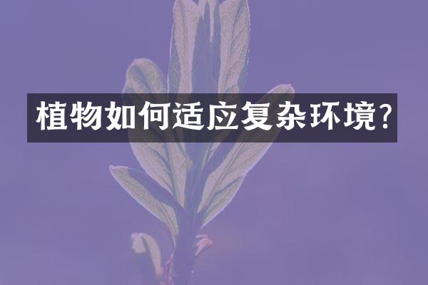 植物如何适应复杂环境?