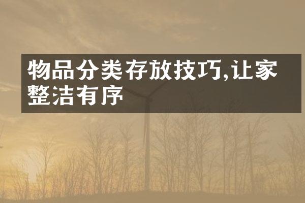 物品分类存放技巧,让家更整洁有序