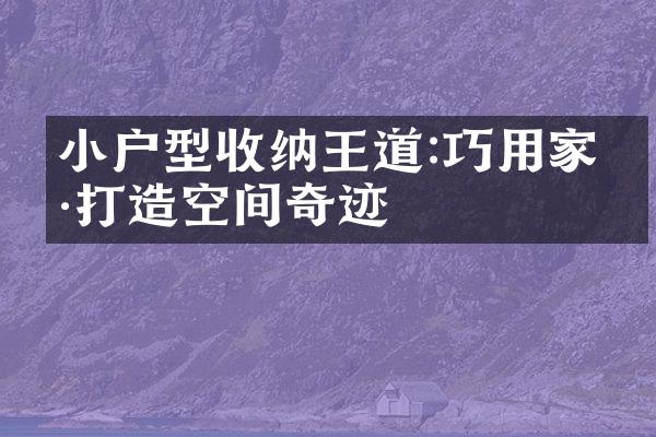 小户型收纳王道:巧用家具打造空间奇迹