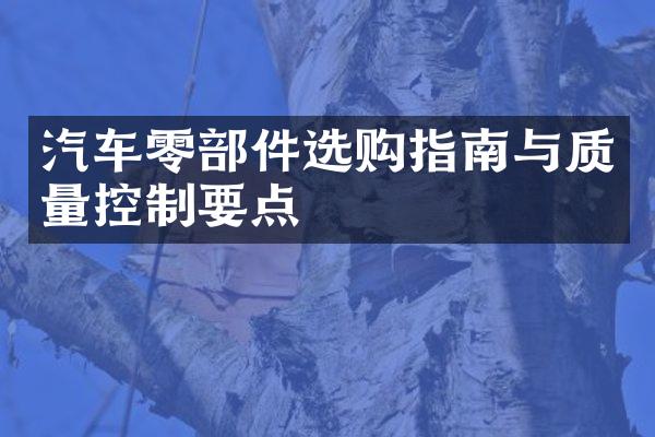 汽车零部件选购指南与质量控制要点