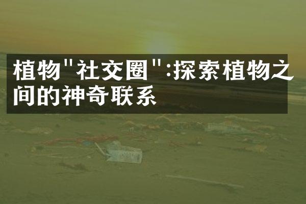 植物"社交圈":探索植物之间的神奇联系