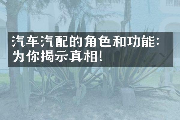 汽车汽配的角色和功能：为你揭示真相！