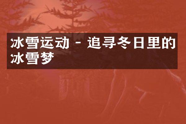 冰雪运动 - 追寻冬日里的冰雪梦