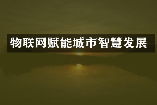 物联网赋能城市智慧发展