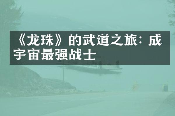 《龙珠》的武道之旅: 成为宇宙最强战士