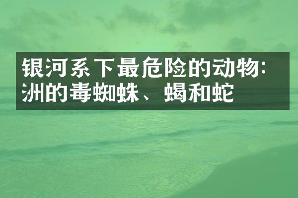 银河系下最危险的动物: 澳洲的毒蜘蛛、蝎和蛇