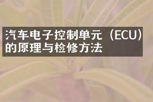 汽车电子控制单元（ECU）的原理与检修方法