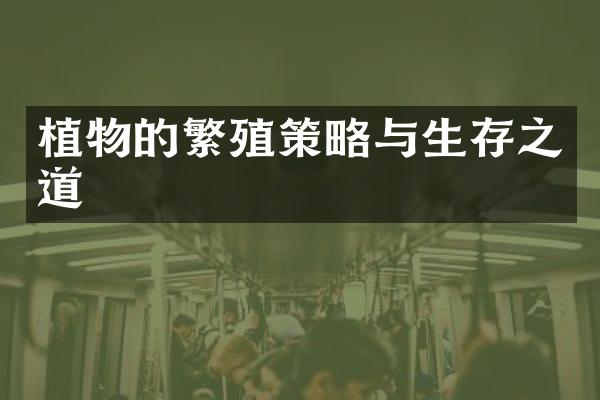 植物的繁殖策略与生存之道