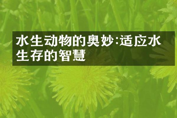 水生动物的奥妙:适应水下生存的智慧