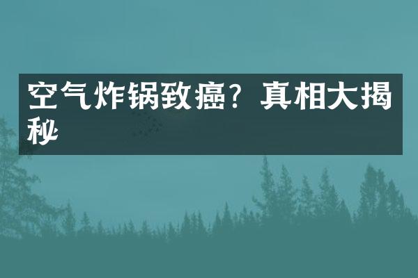 空气炸锅致癌？真相大揭秘