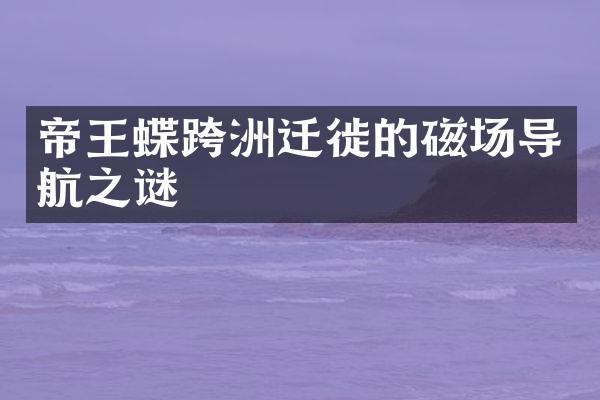 帝王蝶跨洲迁徙的磁场导航之谜