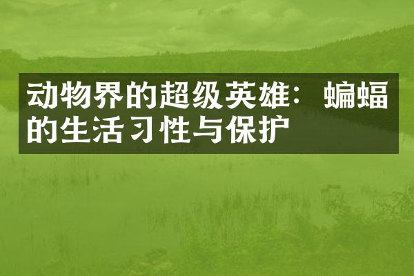动物界的超级英雄：蝙蝠的生活习性与保护