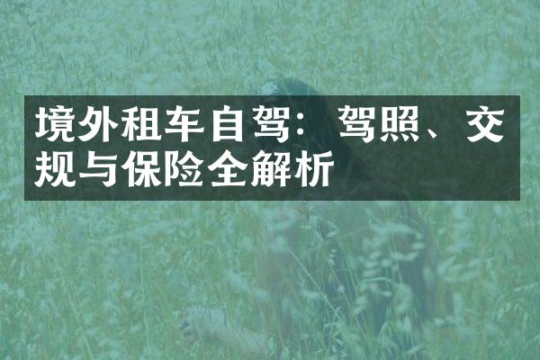 境外租车自驾：驾照、交规与保险全解析