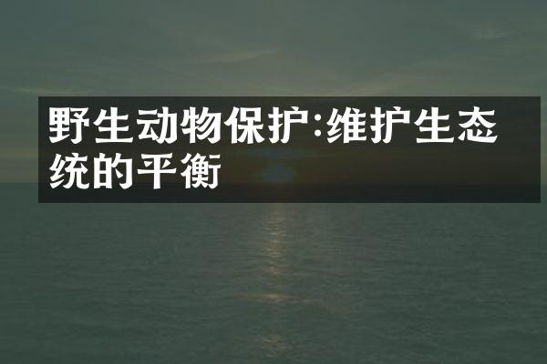 野生动物保护:维护生态系统的平衡