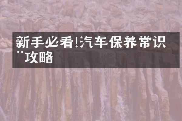新手必看!汽车保养常识全攻略