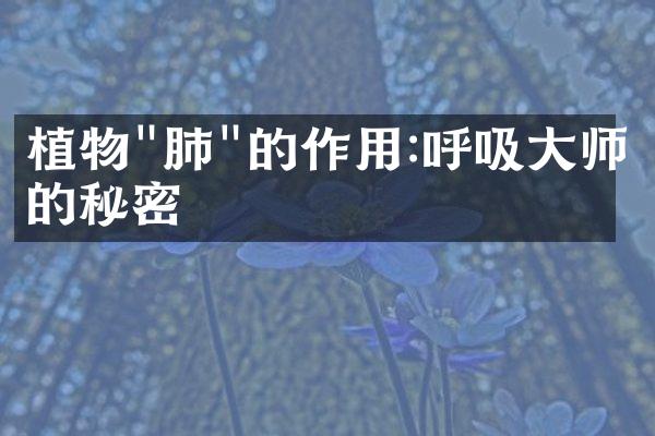 植物"肺"的作用:呼吸大师的秘密