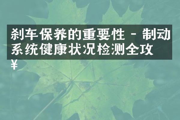 刹车保养的重要性 - 制动系统健康状况检测全攻略