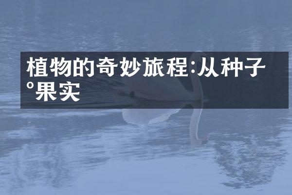 植物的奇妙旅程:从种子到果实