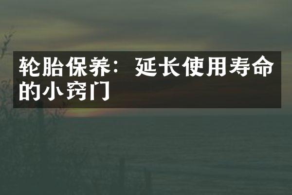 轮胎保养：延长使用寿命的小窍门