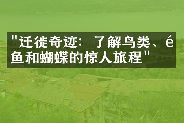 "迁徙奇迹：了解鸟类、鲸鱼和蝴蝶的惊人旅程"