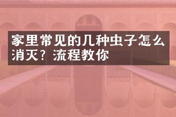 家里常见的几种虫子怎么消灭？流程教你