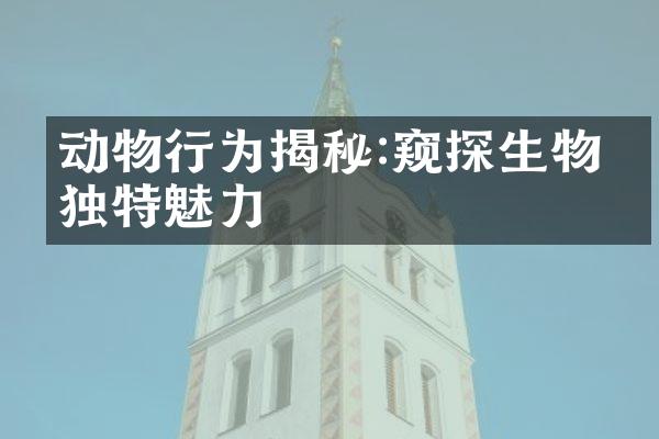 动物行为揭秘:窥探生物的独特魅力