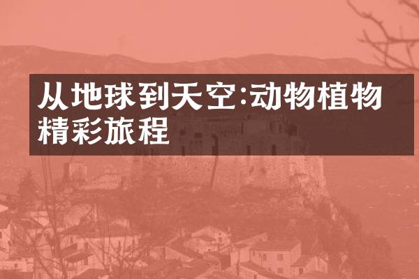 从地球到天空:动物植物的精彩旅程