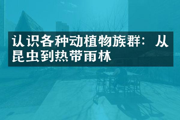 认识各种动植物族群：从昆虫到热带雨林