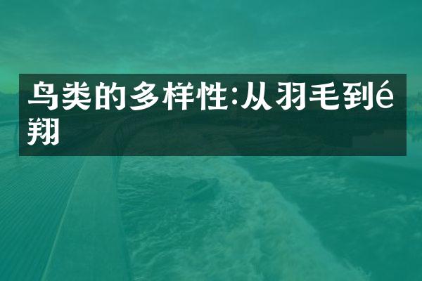 鸟类的多样性:从羽毛到飞翔