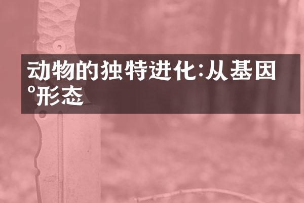 动物的独特进化:从基因到形态