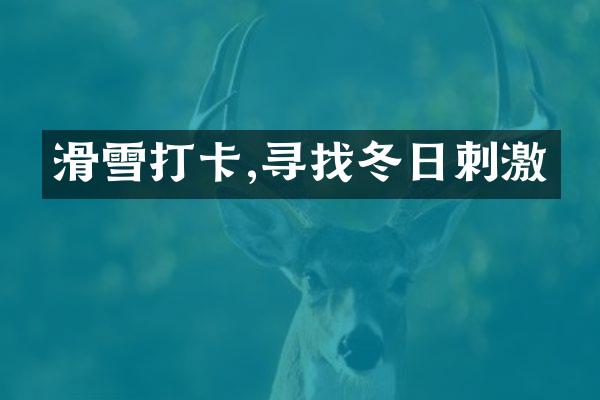 滑雪打卡,寻找冬日刺激