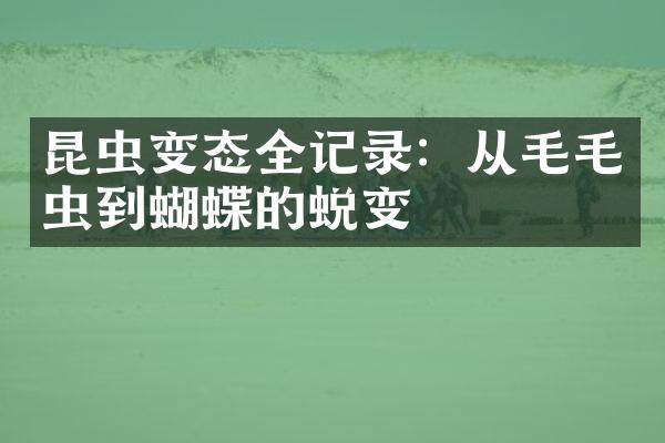 昆虫变态全记录：从毛毛虫到蝴蝶的蜕变