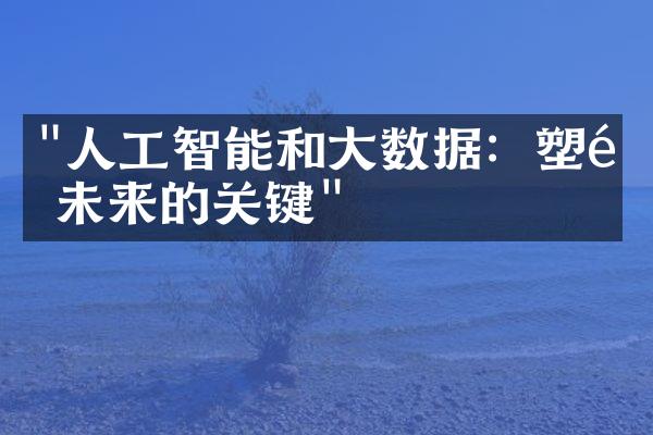 "人工智能和大数据：塑造未来的关键"