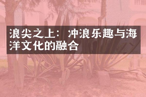 浪尖之上：冲浪乐趣与海洋文化的融合