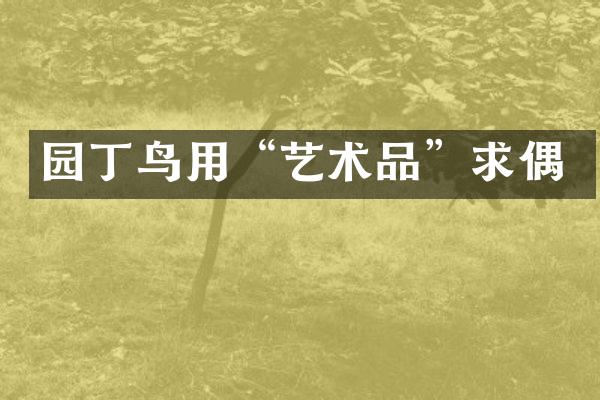园丁鸟用&ldquo;艺术品&rdquo;求偶
