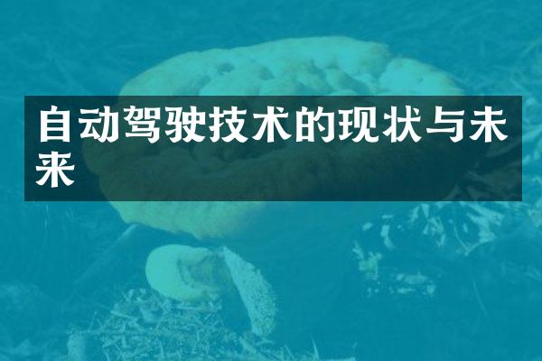 自动驾驶技术的现状与未来