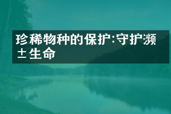 珍稀物种的保护:守护濒危生命