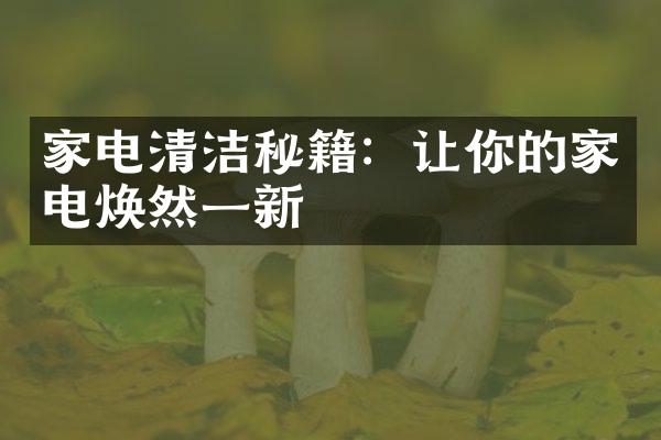 家电清洁秘籍：让你的家电焕然一新