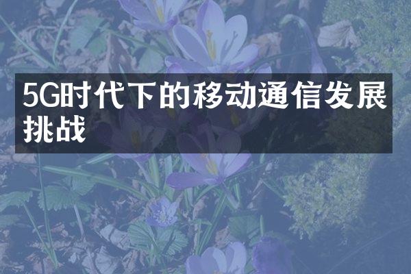 5G时代下的移动通信发展与挑战