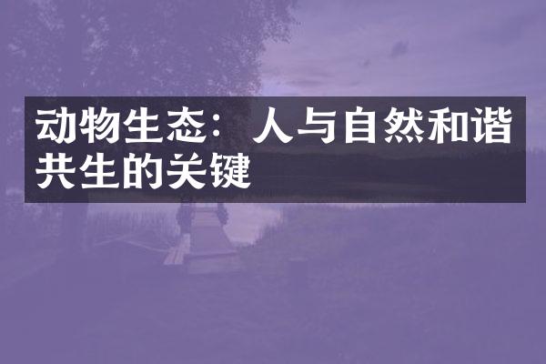 动物生态：人与自然和谐共生的关键
