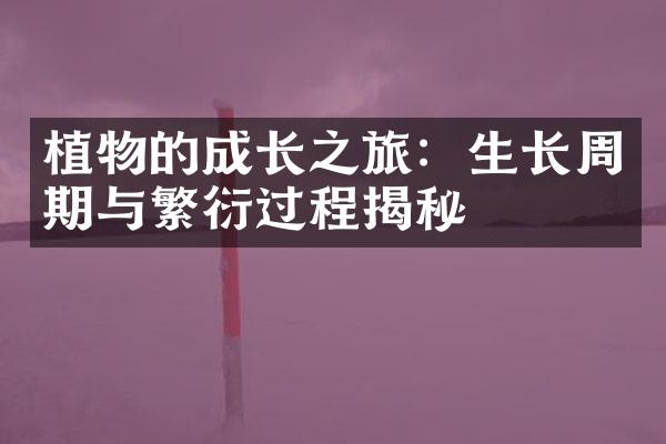植物的成长之旅：生长周期与繁衍过程揭秘