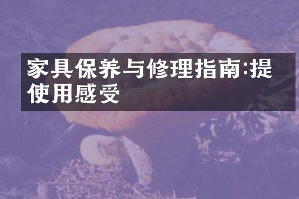 家具保养与修理指南:提升使用感受