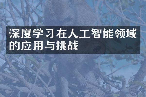 深度学习在人工智能领域的应用与挑战