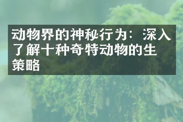 动物界的神秘行为：深入了解十种奇特动物的生存策略