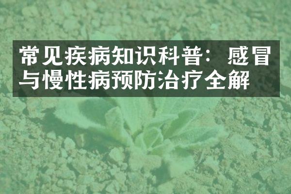 常见疾病知识科普：感冒与慢性病预防治疗全解析