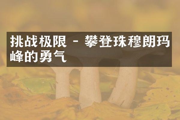 挑战极限 - 攀登珠穆朗玛峰的勇气