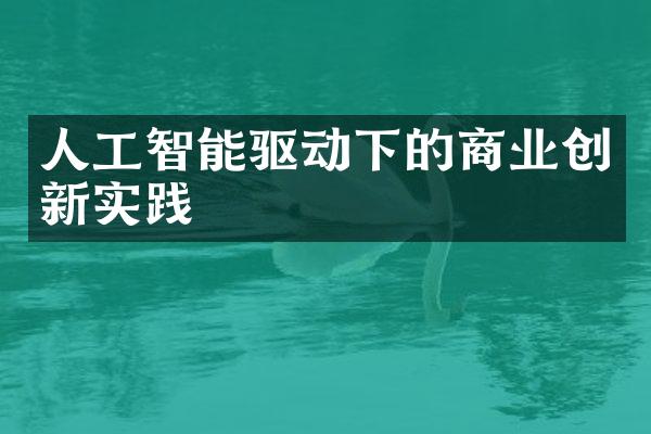 人工智能驱动下的商业创新实践