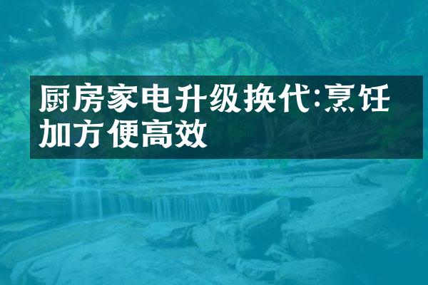 厨房家电升级换代:烹饪更加方便高效