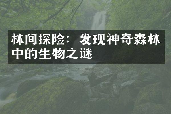 林间探险：发现神奇森林中的生物之谜