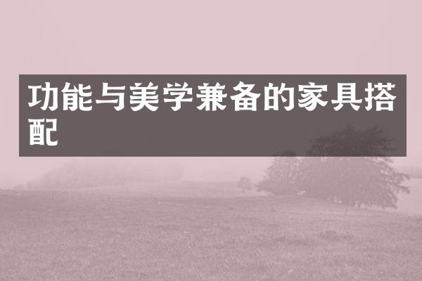 功能与美学兼备的家具搭配
